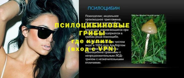 ешки Алзамай